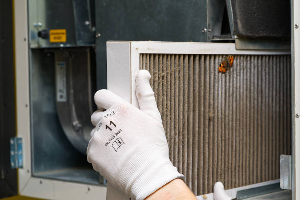 Best Local Air Duct Cleaning Services  in Aurora, TX